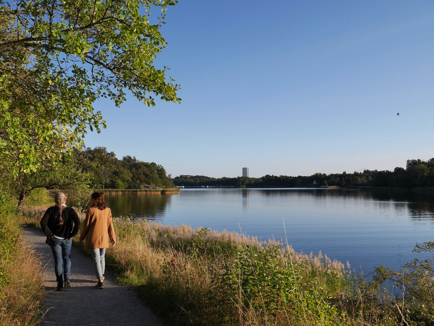How to Choose Well in Stockholm, Sweden
