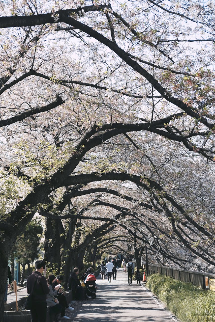 What This Page Helps You Decide in Tokyo, Japan