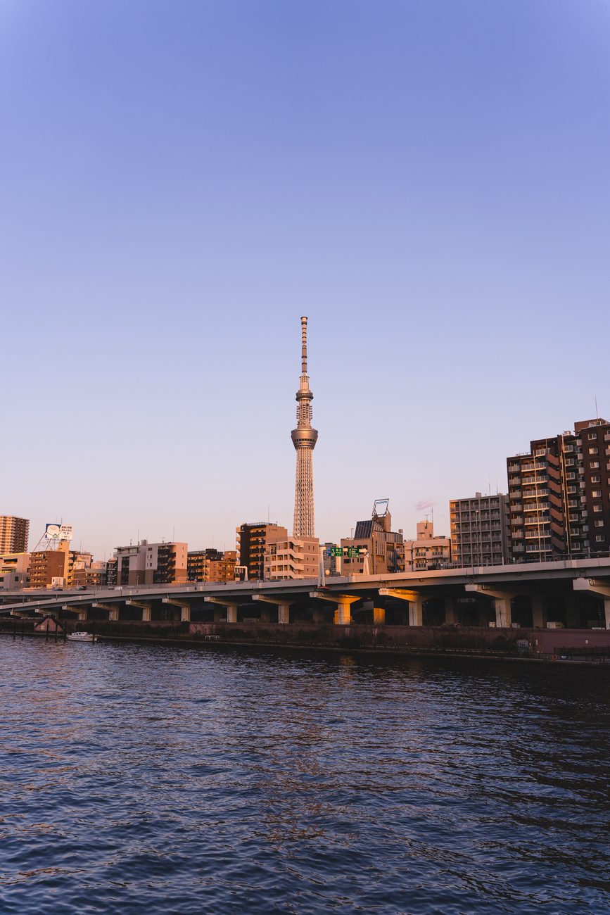Why Visit in Tokyo, Japan