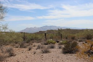 Tucson, United States