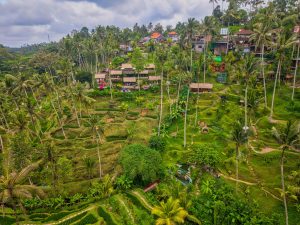 Getting Around in Ubud, Indonesia