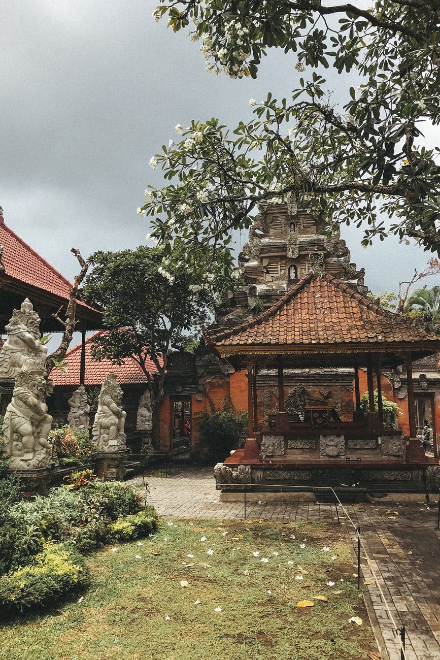 How to Choose Well in Ubud, Indonesia