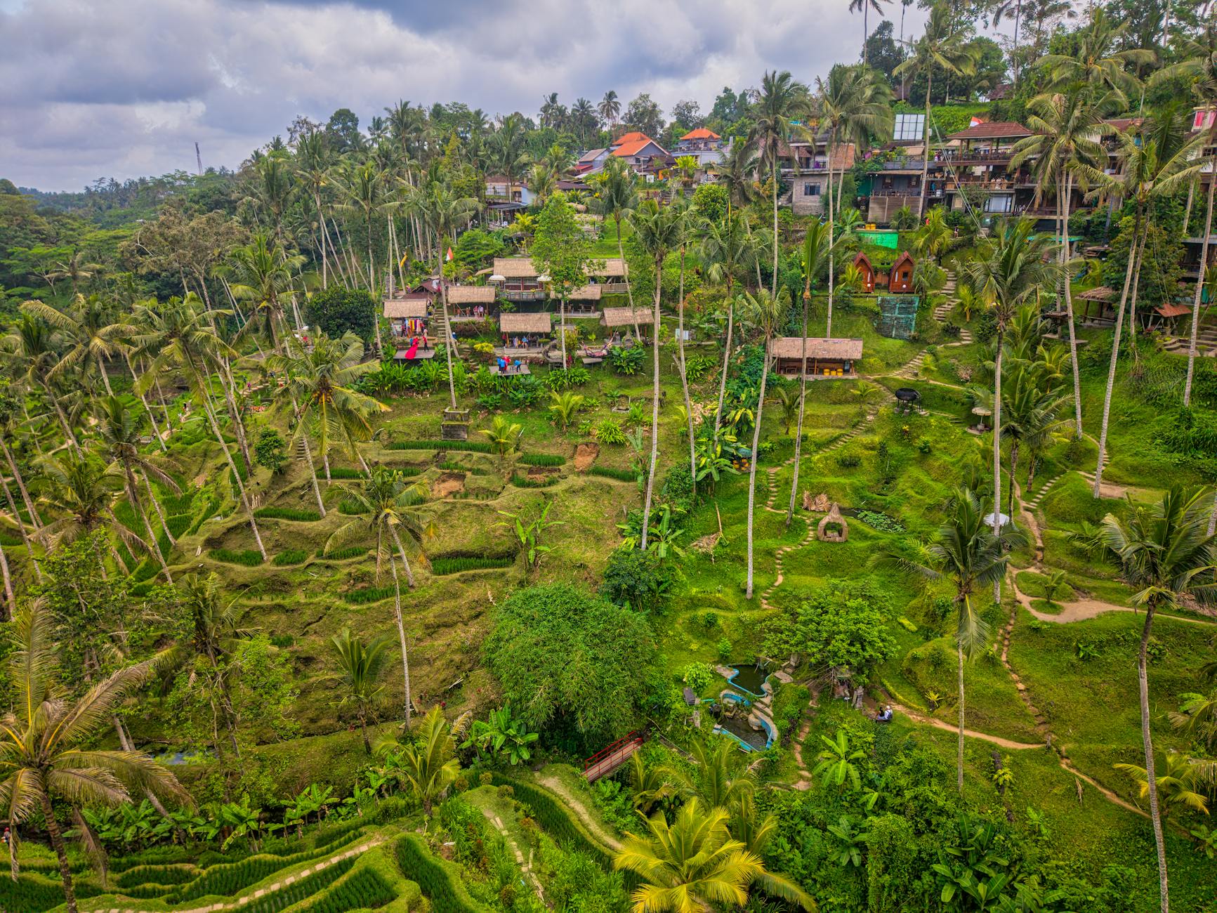 Local Context in Ubud, Indonesia