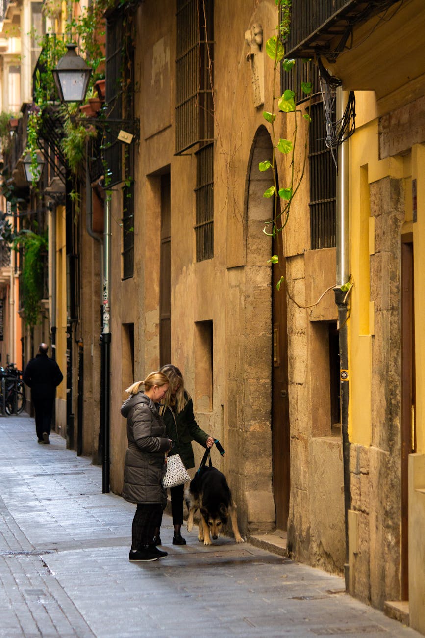 What This Page Helps You Decide in Valencia, Spain