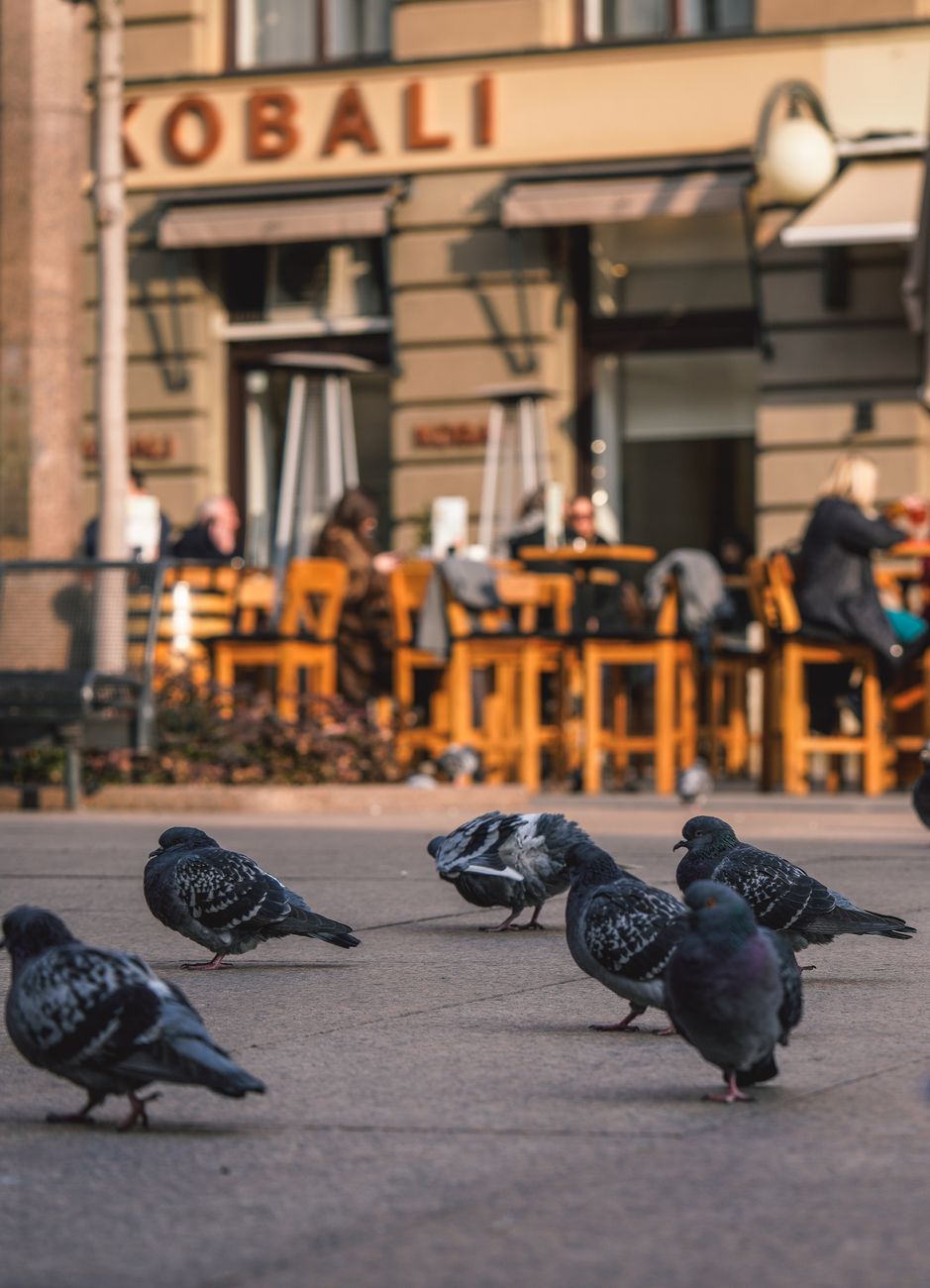 Best Local Experiences in Zagreb, Croatia